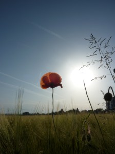 Our world is so wonderful